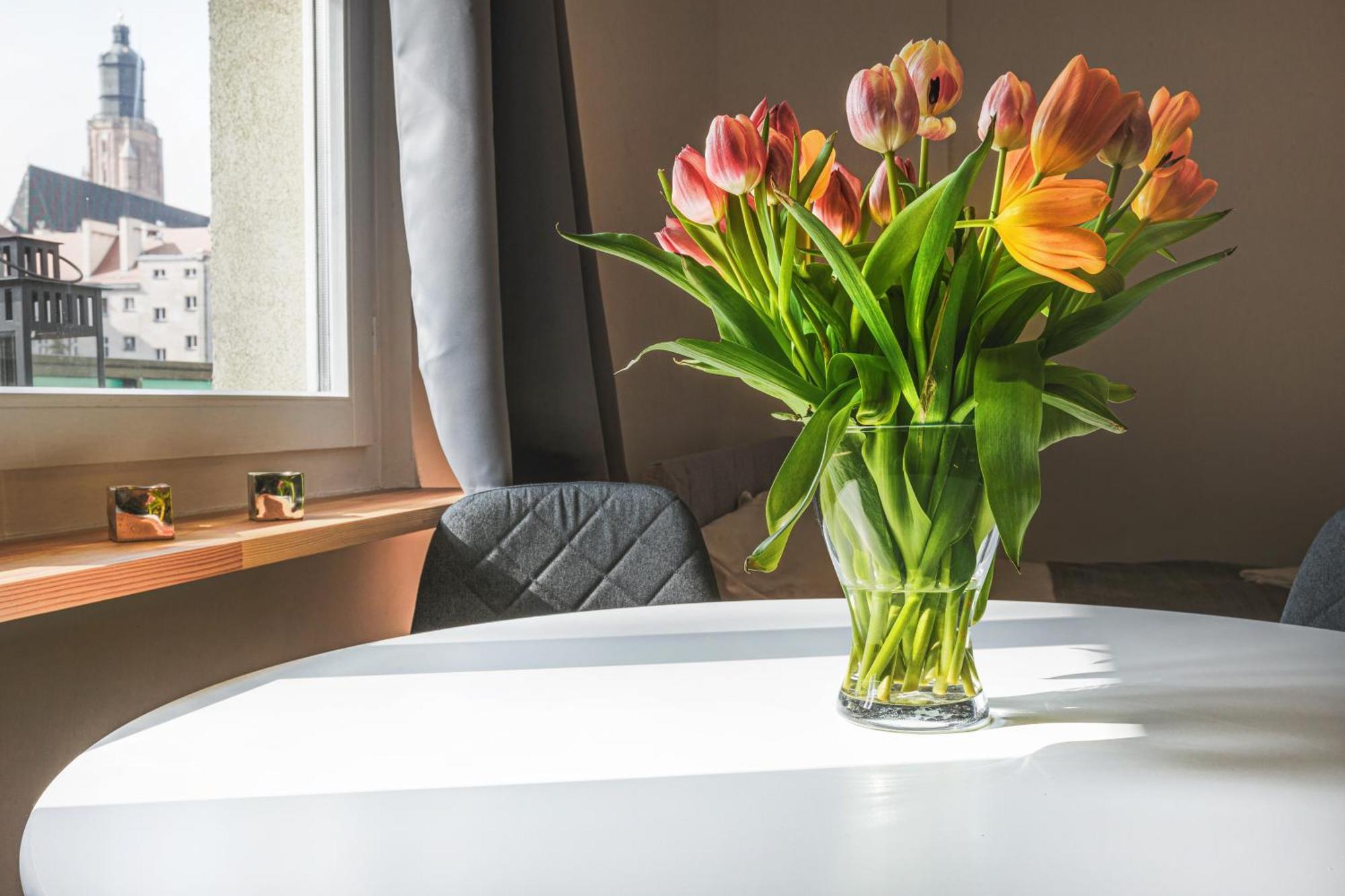 Appartement Klimatyczne Gniazdko Przy Rynku à Wrocław Extérieur photo